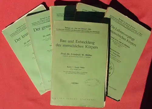 () "Schriften des Deutschen Lehrerverbandes fuer Naturkunde" Menschliche Koerper. Farbtafeln. Verlag Lutz, Stuttgart 1920-er