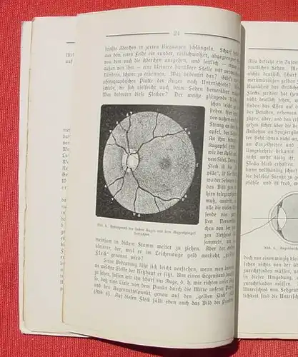 (0230038) Dekker. Biologie der Sinnesorgane. Sehen, Riechen und Schmecken. 104 S., 1910 Kosmos, Stuttgart