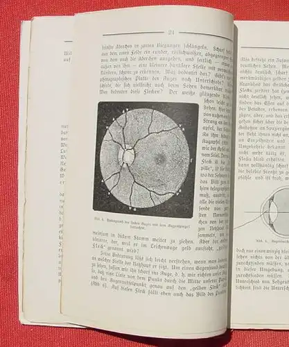 () Dekker. Biologie der Sinnesorgane. Sehen, Riechen und Schmecken. 104 S., 1910 Kosmos, Stuttgart