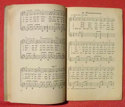 (0240022) "Fuenfzig Lieder aus dem Kleinen Rosengarten von Hermann Loens". Gitarre und Laute. 1916 Freideutscher Jugendverlag Saal, Hamburg