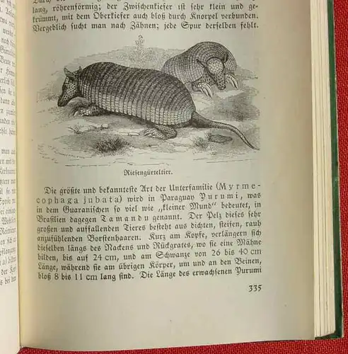 (0300007) Brehm "Das Leben der Tiere" - Die Saeugetiere. 512 S., Textbilder. Halbleder. Berlin 1930-er Jahre