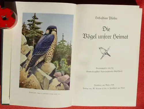 () Pfeifer "Die Voegel unserer Heimat". Senckenberg-Buch 4. 260 S., 1936 Kramer, Frankfurt am Main