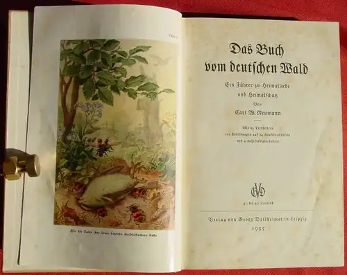 () "Das Buch vom deutschen Wald". Carl W. Neumann. 352 S., Kunstdrucktafeln. 1935 Dollheimer, Leipzig