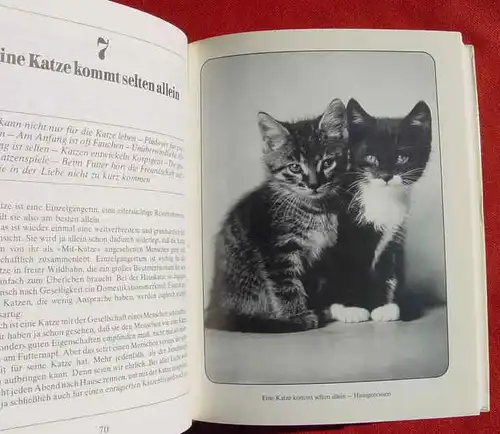 () "Alles ueber Katzen" Hausser. BLV Leitfaden fuer Katzenfreunde. 192 S., BLV-Verlag, Muenchen 1974