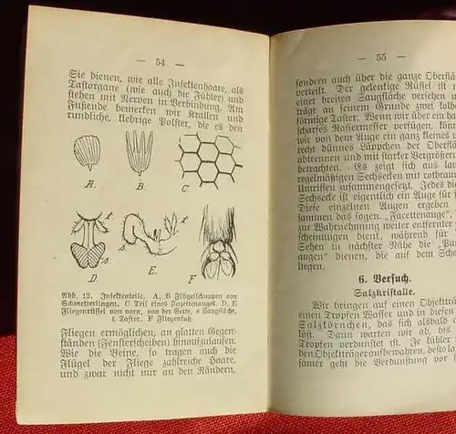 (0300043) "Das Mikroskop und seine Anwendung". Tannert. Miniatur-Bibliothek. Paul, Leipzig. 20-Pf-Heft