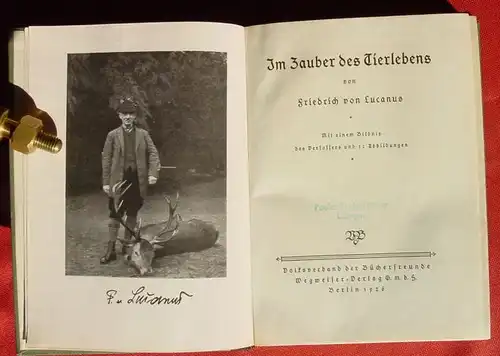 (0300045) "Im Zauber des Tierlebens". Lucanus. 348 S., Wegweiser, Berlin 1926. # Jagd # Zoologie