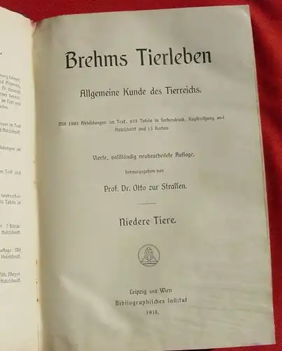 (0300050) Brehms Tierleben. Niedere Tiere. 722 S., 1918 Bibliographisches Institut, Leipzig u. Wien