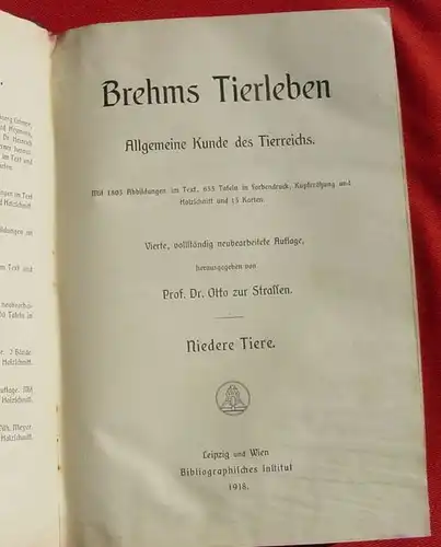 () Brehms Tierleben. Niedere Tiere. 722 S., 1918 Bibliographisches Institut, Leipzig u. Wien