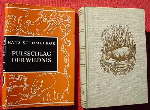 (0100722) Schomburgk "Pulsschlag der Wildnis". Afrikaerlebnisse. 1953 Verlag der Nation