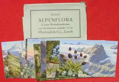 Neu : Versandkosten ab Euro 2,20 ()  12 x hübsche, alte Ansichtskarten mit Motiven Alpenflora, um 1910-20 ? Unbeschrieben. Mit Original-Umschlag.