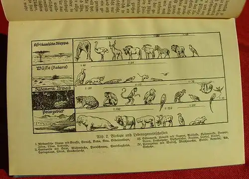 () Floericke "Zwischen Pol u. Aequator". Franckh, Stuttgart 1926. Kosmos-Band. nlvkosmos