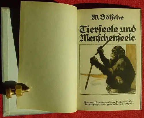 () Boelsche "Tierseele und Menschenseele" Franckh, Stuttgart 1924. Kosmos-Band. nlvkosmos