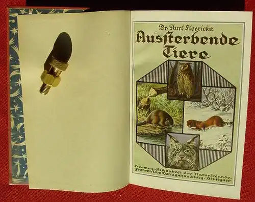 (1005058) Floericke "Aussterbende Tiere : Biber, Nerz, Luchs, Uhu". Franckh, Stuttgart 1927. Kosmos-Band. nlvkosmos