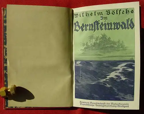 (1005071) Boelsche "Im Bernsteinwald" Franckh, Stuttgart 1927. Kosmos-Band. nlvkosmos