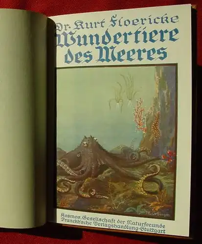 (1005076) Floericke "Wundertiere des Meeres". Franckh, Stuttgart 1925. Kosmos-Band. nlvkosmos