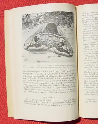 (1008422) Bruns "Warn- und Tarntrachten im Tierreich". 76 S., KOSMOS-Baendchen, Stuttgart 1952