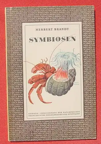 (1008423) "Symbiosen". Von Herbert Brandt. 76 Seiten. KOSMOS-Baendchen, Stuttgart 1949