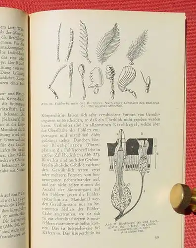 () Kahmann "Schmecken und Riechen". KOSMOS-Baendchen, Stuttgart 1951