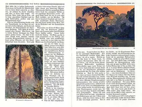 Kunst Maler Afrika Kolonie Reise nach Kamerun Ernst Vollbehr 1913