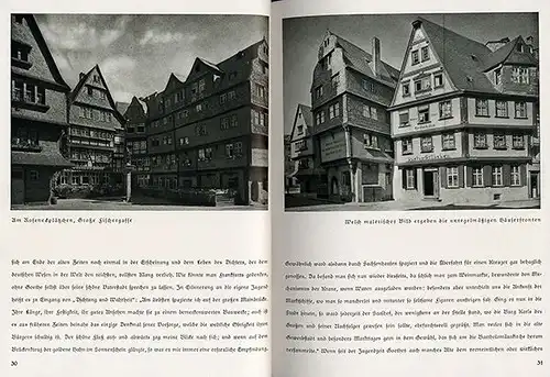 Hessen Frankfurt Main Alt Stadt Architektur Geschichte Foto Bildband 1930