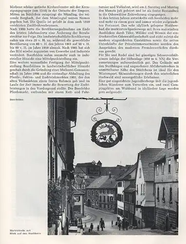 Hessen Odenwald Landkreis Erbach Wirtschaft Geschichte Monografie 1965