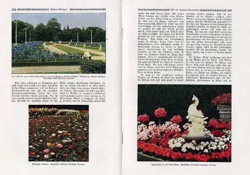 Dresden Deutsche Gartenbau Ausstellung Geschichte Konzept Gustav Allinger 1926
