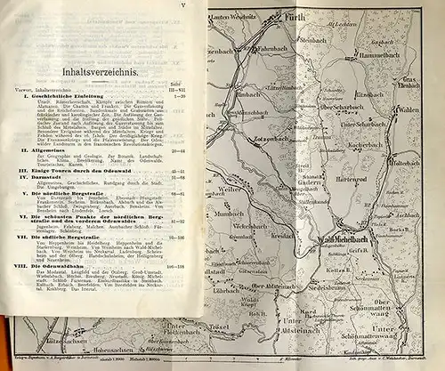 Hessen Odenwald Bergstraße Neckar Erbach Heidelberg Wanderbuch 1911