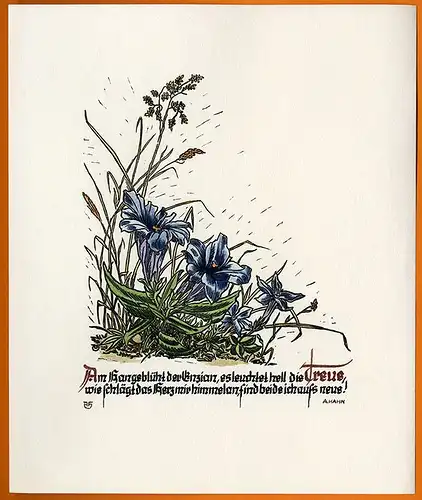 Alpen Blumen Enzian 7 Original Kunst Grafik Blätter signiert Hahn Leipzig 