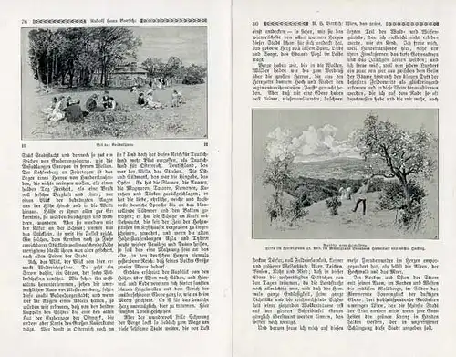 Österreich Wien Bilder aus dem Wienerwald gezeichnet von Wilhelm Gause