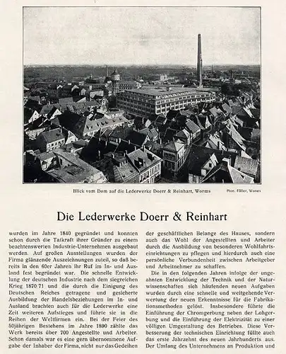 Hessen Rhein Main Odenwald Wirtschaft Industrie Monografie Dari Verlag 1927