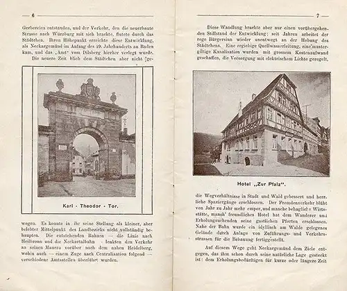 Baden Neckar Neckargmünd Geschichte Werbung Reklame alter Reiseführer 1904
