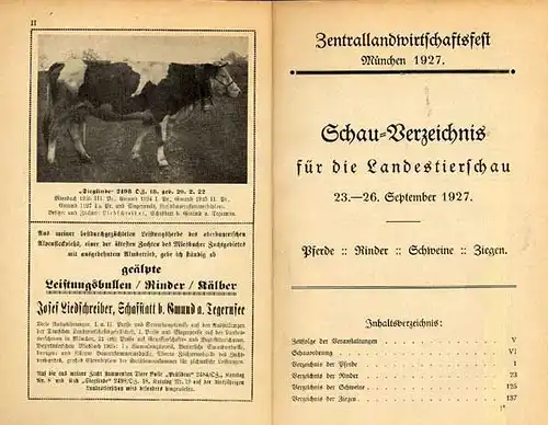 Bayern München Landwirtschaft Viehzucht Ausstellung Pferde Rinder Schweine 1927