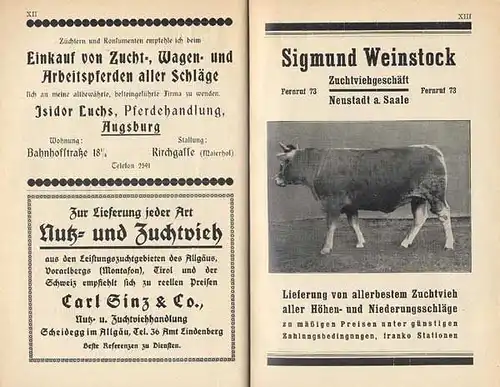 Bayern München Landwirtschaft Viehzucht Ausstellung Pferde Rinder Schweine 1927