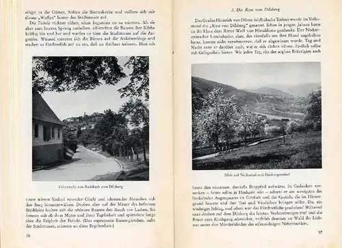 Baden Odenwald Heidelberg Festung Dilsberg Mittelalter Geschichte Führer 1961