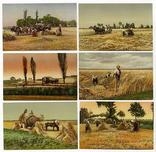 Schweiz Landwirtschaft Ernte Feldarbeit Bauern Serie von 6 farbigen Postkarten