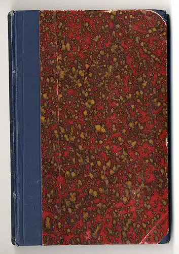 Böhmen Sudeten Mittelalter Geschichte Kultur Historische Bilder Buch 1879