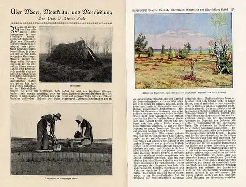 Deutschland Niedersachsen Ostsee Moore Landschaft Kultur Siedlung 1924