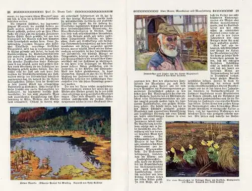 Deutschland Niedersachsen Ostsee Moore Landschaft Kultur Siedlung 1924