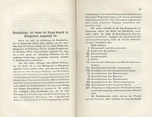 Böhmen Sudeten Eger Kurort Königswart Geschichte Heilquellen Bäder Buch von 1873