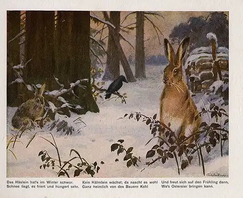 Kinder Bilderbuch Tiere des Waldes gemalt von Achleitner Kunst Grafik Buch 1930
