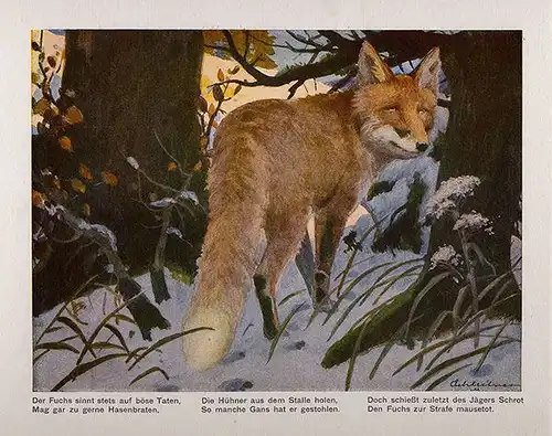 Kinder Bilderbuch Tiere des Waldes gemalt von Achleitner Kunst Grafik Buch 1930
