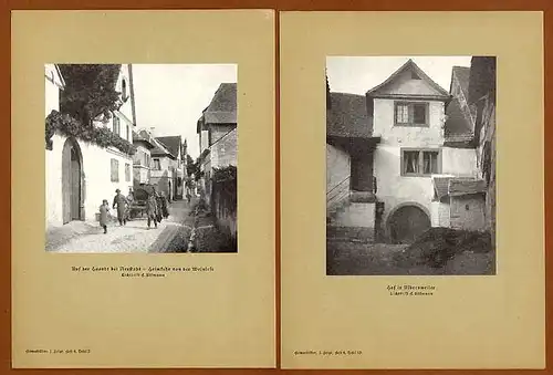 Rhein Pfalz Weinstraße Gollheim Geinsheim Ilbesheim St. Martin Foto Mappe 1921