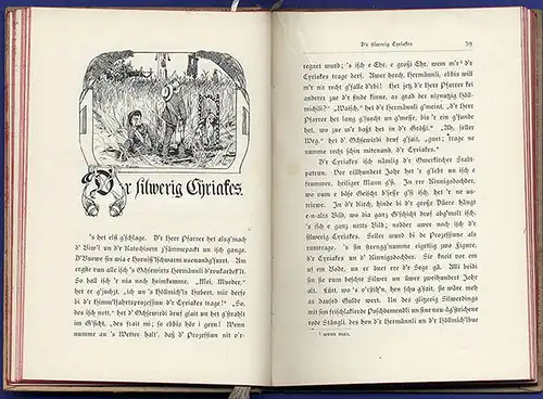 Baden Schwarzwald Geschichten in Alemannischer Mundart Dialekt Buch 1911