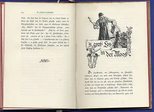 Baden Schwarzwald Geschichten in Alemannischer Mundart Dialekt Buch 1911