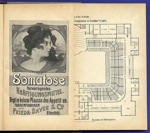 Hessen Frankfurt Wettstreit deutscher Gesangsvereine Festschrift Führer 1903