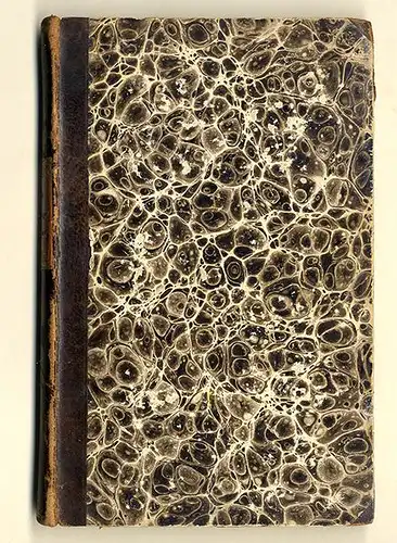 Naher Osten Syrien Libanon Beirut Damaskus Aleppo Orient Reise Halbleder 1845  