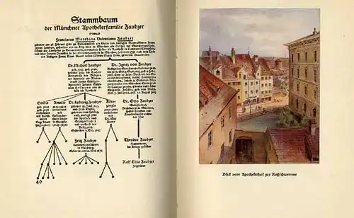 Bayern München Medizin Schützen Apotheke Pirchinger Geschichte Chronik Buch 1927