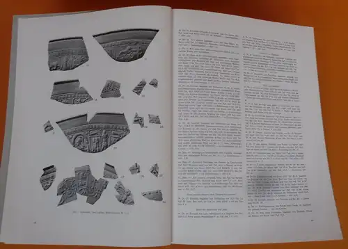 Hessen Bergstraße Archäologie Geschichte Römische Sumpfbrücke Bickenbach 1977