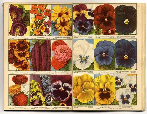 Rhein Westfalen Neuss Garten Blumen Pötschke Samen Handlung Garten Buch 1948