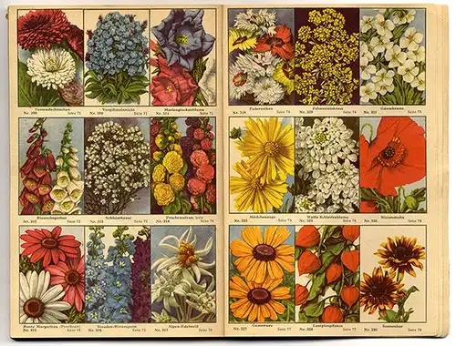 Rhein Westfalen Neuss Garten Blumen Pötschke Samen Handlung Garten Buch 1948